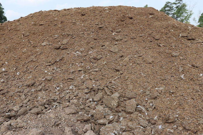 chicken-manure-mound